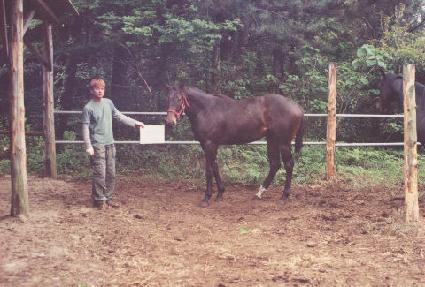 ����� ����