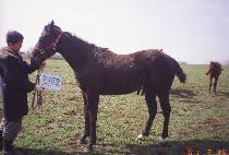 ���� (CARPE DIEM) ����