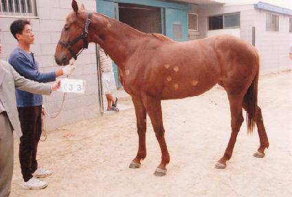 �޳��� ����