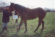 ���ؿ� (DONGHAEWANG) ����