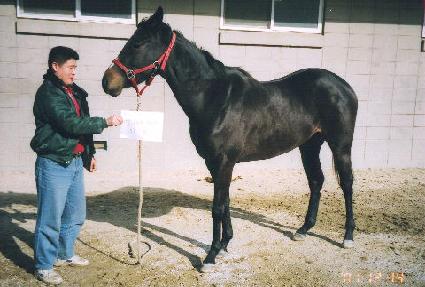 ������� ����