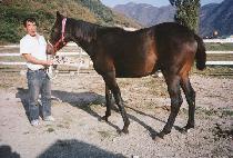 ž����Ʈ (TOP LIGHT) ����