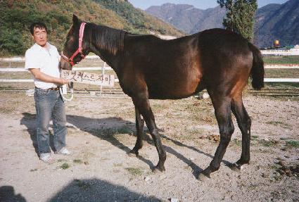 ž����Ʈ ����