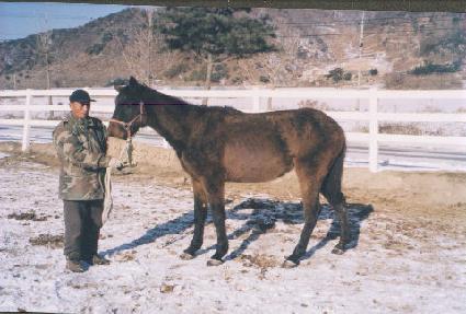 ������ ����