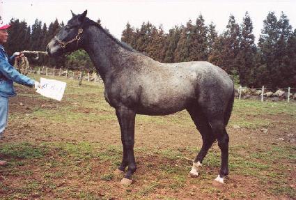 ��̸� ����