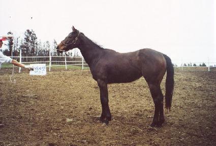 ���Ǻ� ����