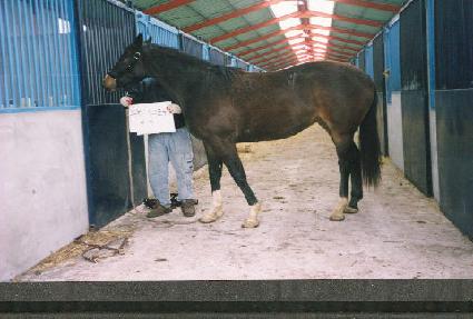 �ظ��� ����