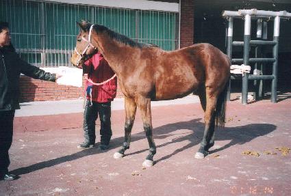 Ŵ������ ����