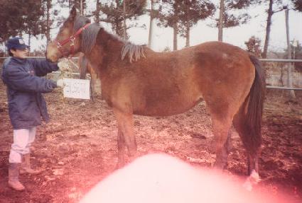 �պ� ����