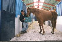 ����� (YANGDAE SANMAEK) ����