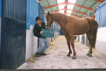 ����� ����