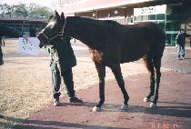 ����ο� (BOBAEROUN) ����