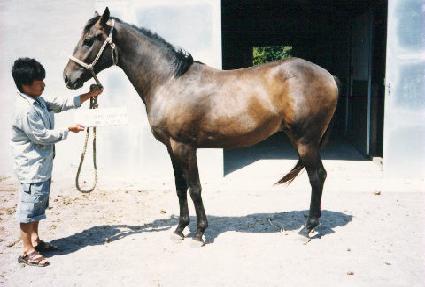 ���� ����