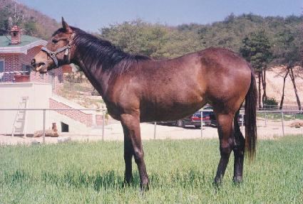 ��õ�� ����