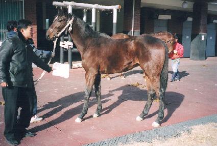 �¼� ����