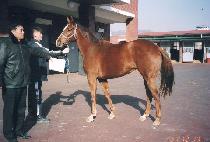 ���� (SEOLGWANG) ����