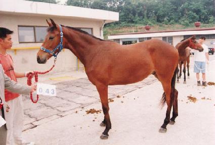 �渶�� ����