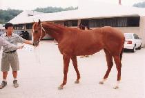 �������� (GAMGAE MURYANG) ����