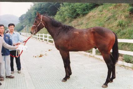 õ������ ����