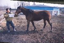 �ֻ� (JUSANG) ����