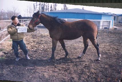 �ֻ� ����