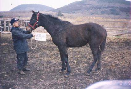 �浹ǳ ����