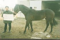 õ��� (CHEONNYEON SEUNG) ����