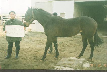 õ��� ����