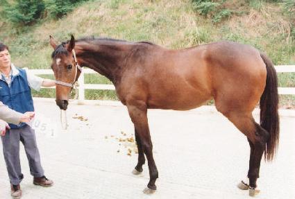 ���ǵ�� ����