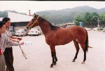 ������ (SAEPYEONGJEONG) ����