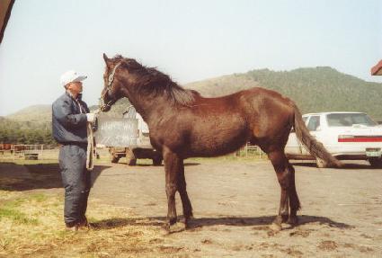 �����ǲ� ����