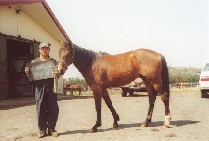 �������¾� ����