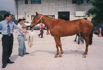 �ɸ��� (KKONMAEUL) ����