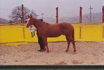 ��Ű����Ŀ (LUCKY MAKER) ����