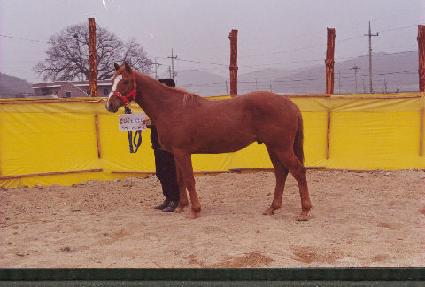 ��Ű����Ŀ ����