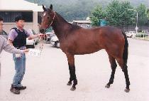 ���ؼ� (MUGEUKSEONG) ����