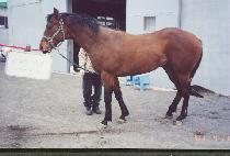 �������Ŀ� (JEEI POWER) ����