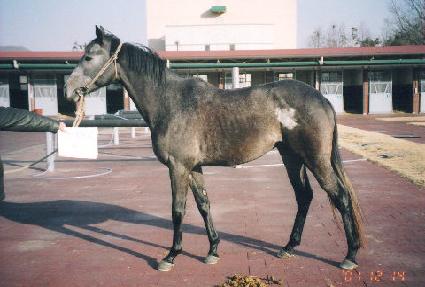 û�� ����