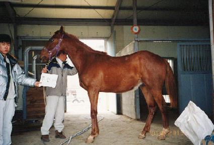 ����Ư�� ����