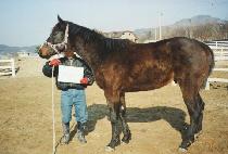 �ݾ� (BANNYA) ����