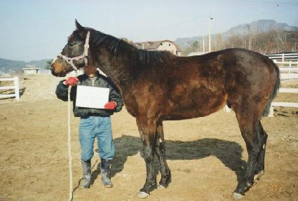 �ݾ� ����