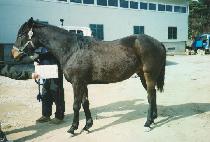 ���ʿ� (NEULCHOWON) ����