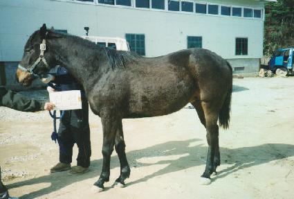 ���ʿ� ����