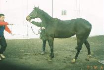 ����Ʈ��Ʈ (SWEET HEART) ����