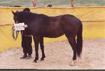 ��� (SANG GWAN) ����