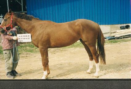 ���� ����