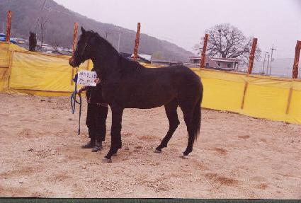 ���� ����