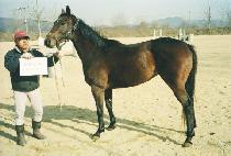 ���� (SINHYEONG) ����