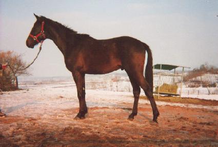 ��Ÿ���� ����