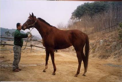 ���� ����